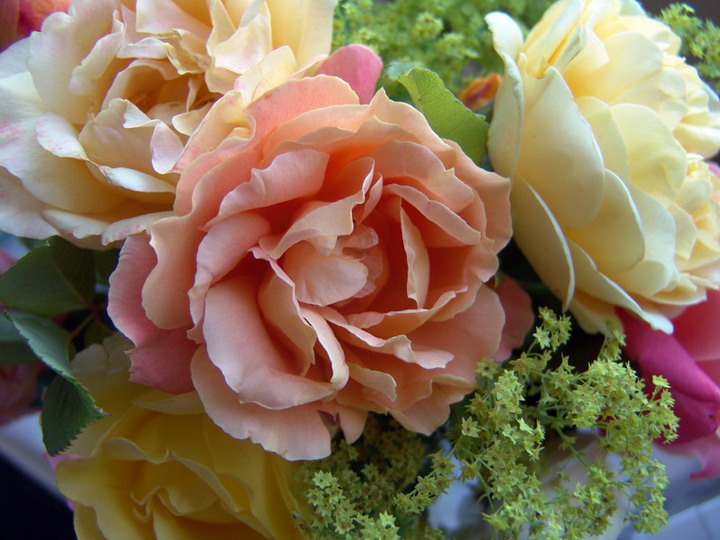 Ad:  lovely_roses.jpg
Gsterim: 346
Boyut:  108.4 KB