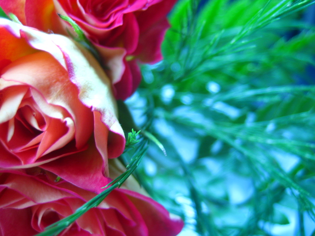 Ad:  0610_055.jpg
Gsterim: 255
Boyut:  151.0 KB