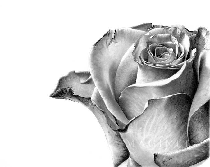 Ad:  b_e_l_l_o_by_imaginee.jpg
Gsterim: 716
Boyut:  40.0 KB