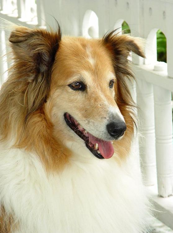 Ad:  __lady2.jpg
Gsterim: 231
Boyut:  62.8 KB