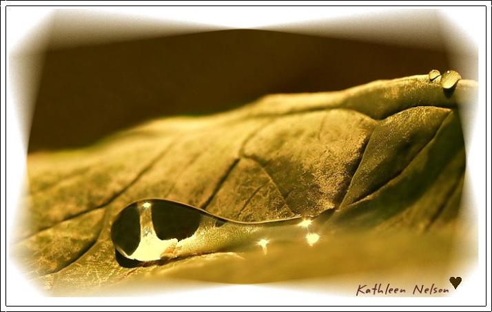 Ad:  sunrise_raindrop.jpg
Gsterim: 287
Boyut:  43.7 KB