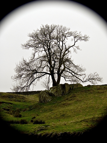 Ad:  tr.jpg
Gsterim: 222
Boyut:  186.2 KB