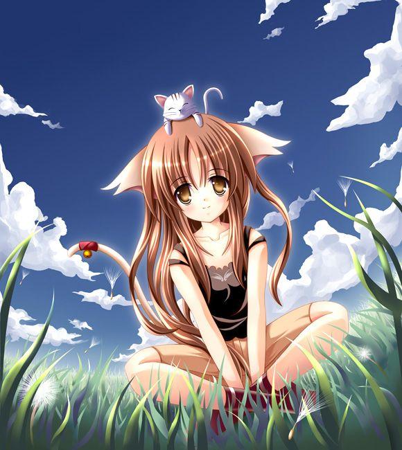 Ad:  cats112.JPG
Gsterim: 430
Boyut:  66.5 KB