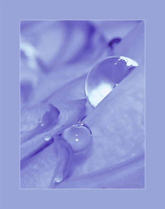 Ad:  img_0198_o.jpg
Gsterim: 173
Boyut:  142.9 KB