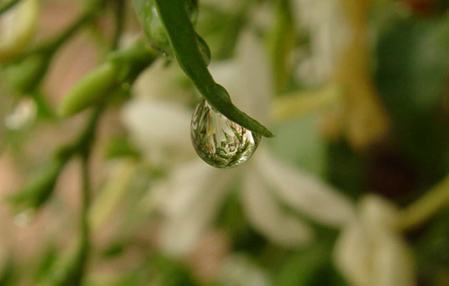 Ad:  see-through.jpg
Gsterim: 236
Boyut:  190.0 KB