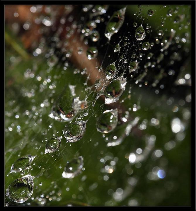 Ad:  _mg_8106.JPG
Gsterim: 186
Boyut:  68.6 KB