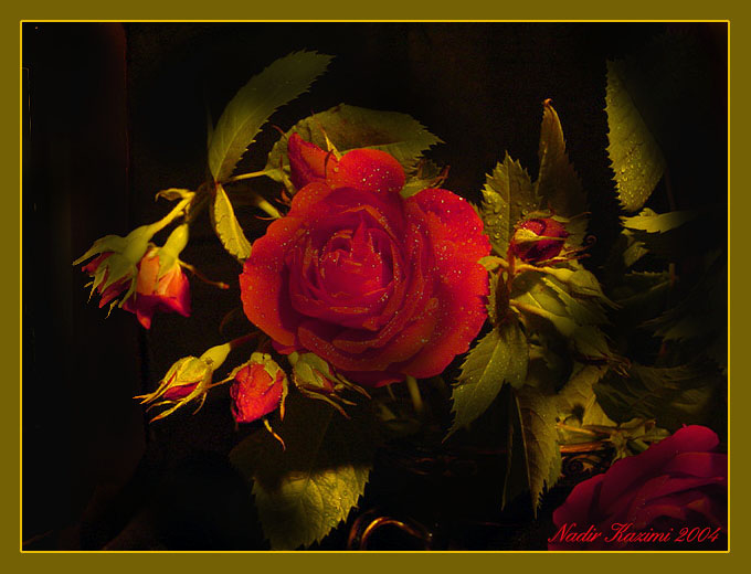 Ad:  dsc01469.jpg
Gsterim: 236
Boyut:  75.5 KB