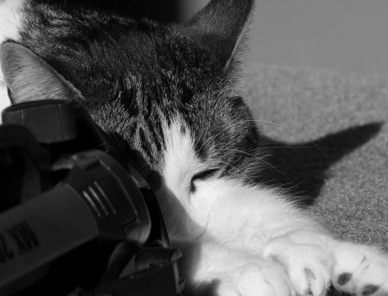 Ad:  Late_afternoon___By_Sleekfur_by_Photocritique.jpg
Gsterim: 249
Boyut:  63.9 KB