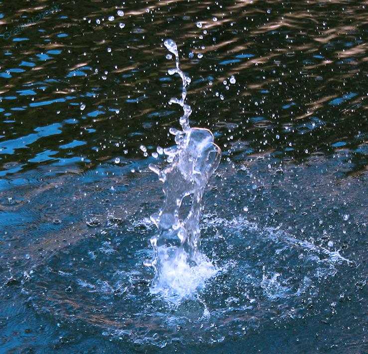 Ad:  Displaced_by_now_voyager.jpg
Gsterim: 344
Boyut:  150.3 KB