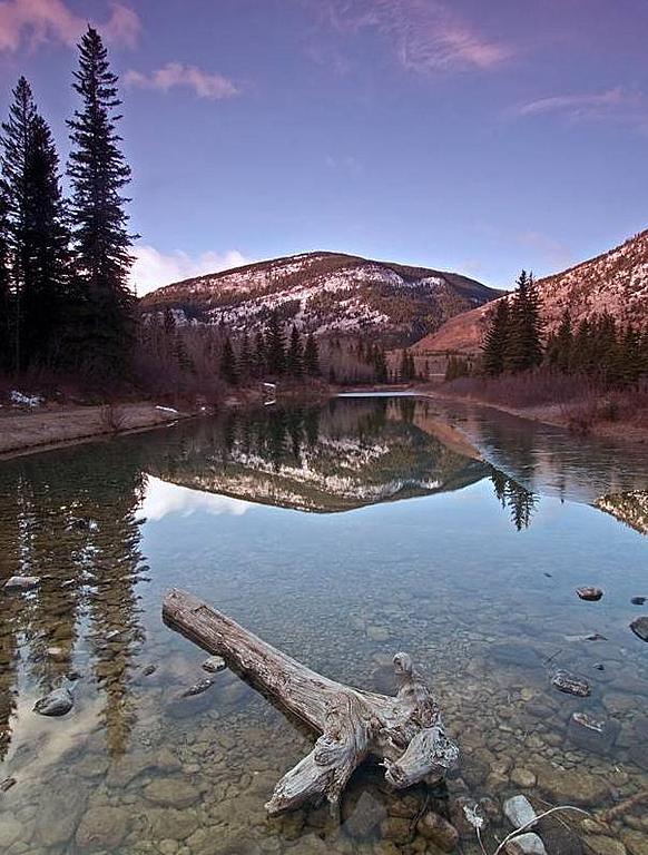 Ad:  Ponder_my_Thoughts_by_CaroleLee.jpg
Gsterim: 216
Boyut:  88.2 KB