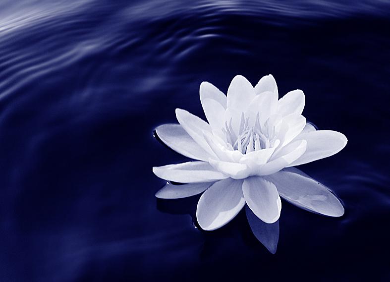 Ad:  Silent_Music_1_by_ace_of_finland.jpg
Gsterim: 333
Boyut:  52.9 KB