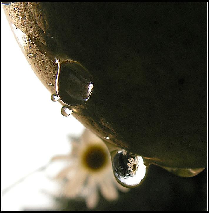 Ad:  pict0082.jpg
Gsterim: 300
Boyut:  59.1 KB