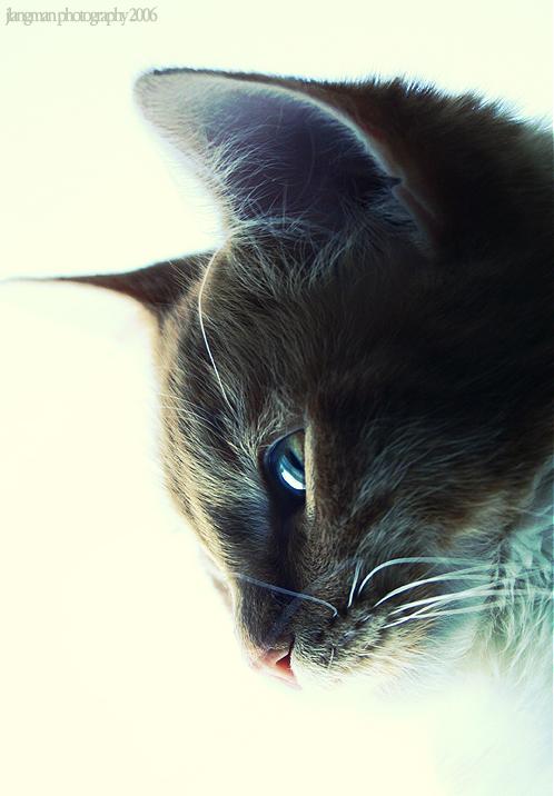 Ad:  _one_with_wonders_by_lithp.jpg
Gsterim: 216
Boyut:  50.9 KB