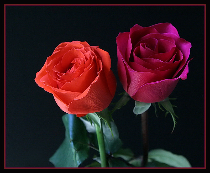 Ad:  1815656-8ba0c3806996614f.jpg
Gsterim: 338
Boyut:  142.4 KB