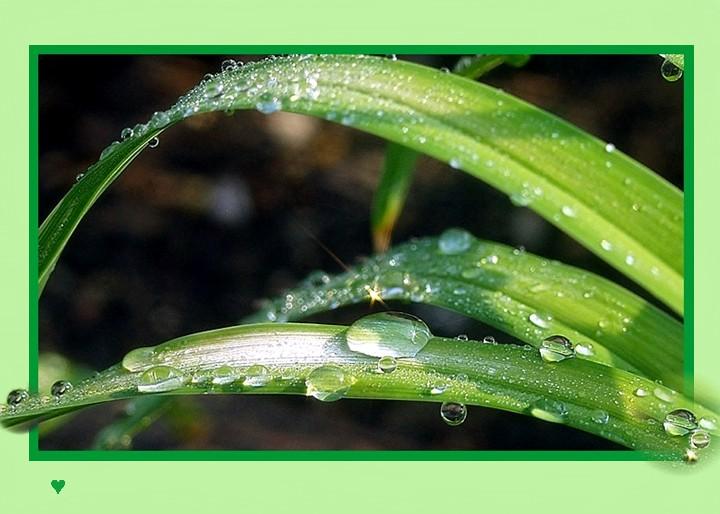 Ad:  stardrops_t.JPG
Gsterim: 249
Boyut:  51.1 KB