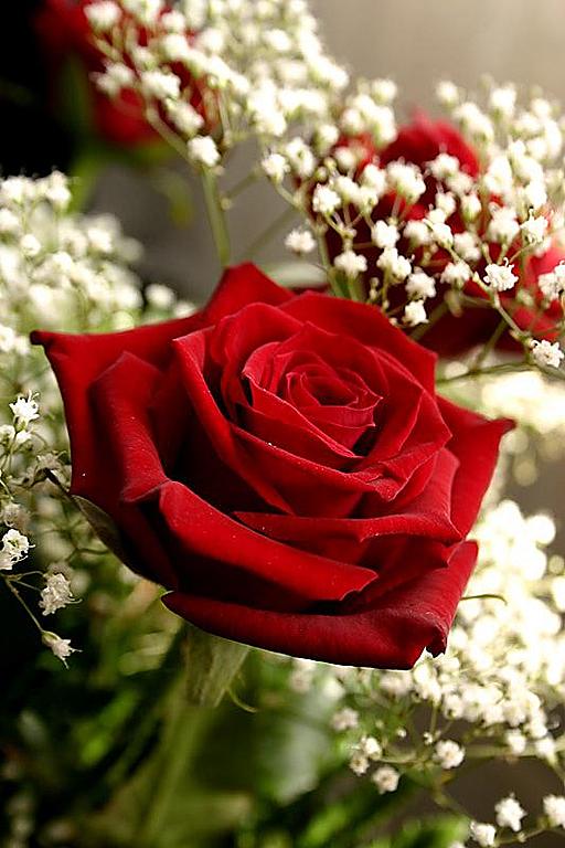 Ad:  30646235.jpg
Gsterim: 1502
Boyut:  61.6 KB