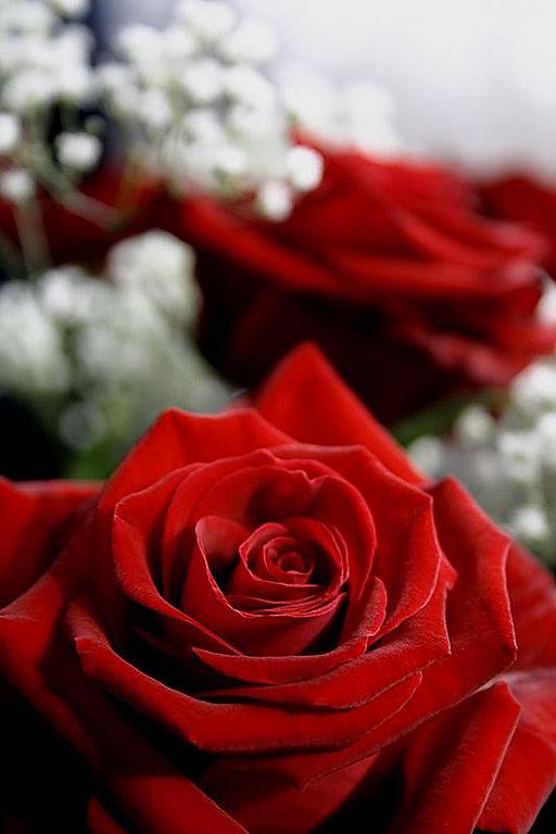 Ad:  30646442.jpg
Gsterim: 429
Boyut:  37.4 KB