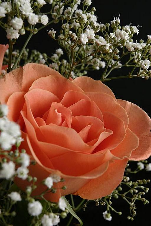 Ad:  32105227.jpg
Gsterim: 285
Boyut:  62.7 KB