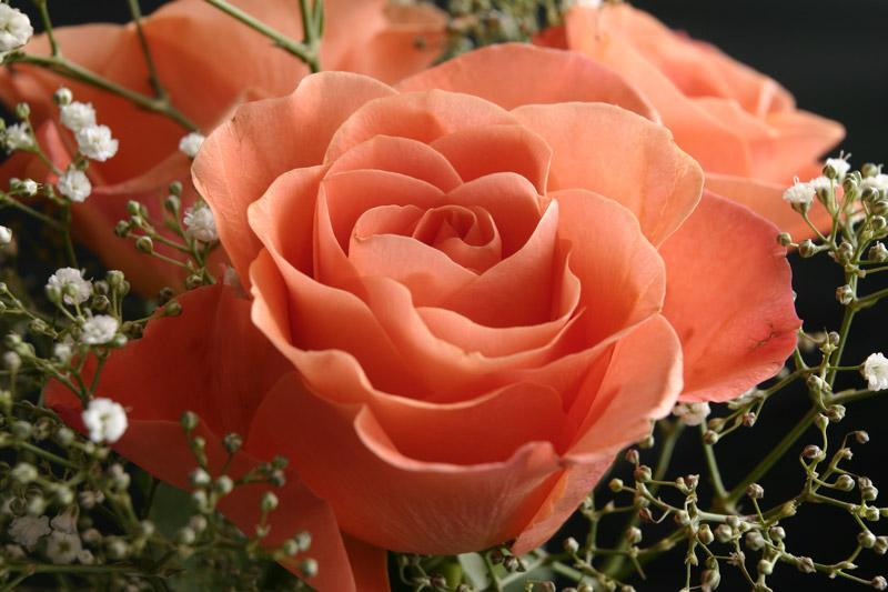 Ad:  32105221.JPG
Gsterim: 243
Boyut:  57.3 KB