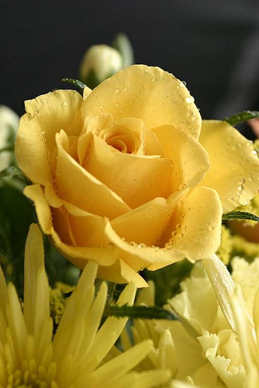 Ad:  32105463.jpg
Gsterim: 471
Boyut:  42.9 KB