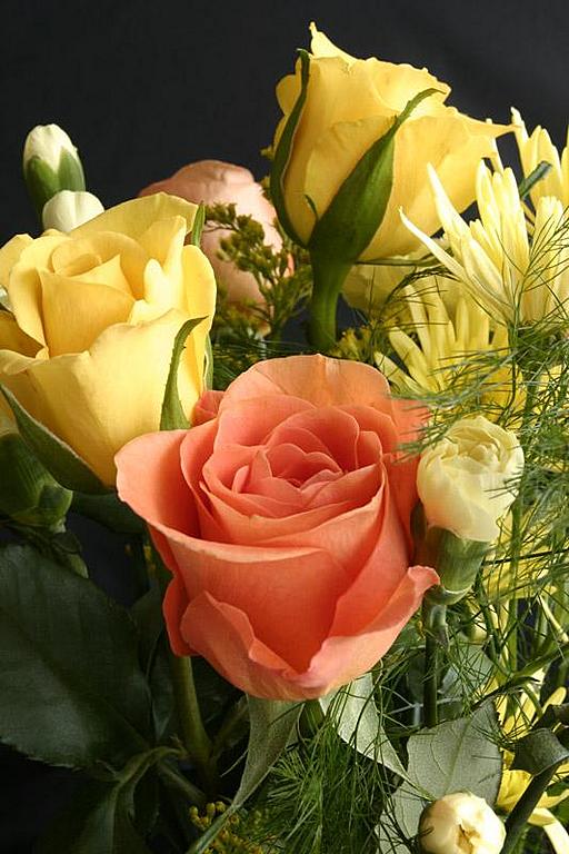 Ad:  32105460.jpg
Gsterim: 255
Boyut:  70.6 KB