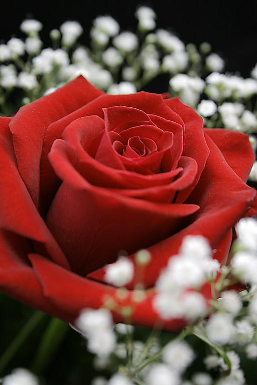 Ad:  3064644.jpg
Gsterim: 300
Boyut:  54.1 KB