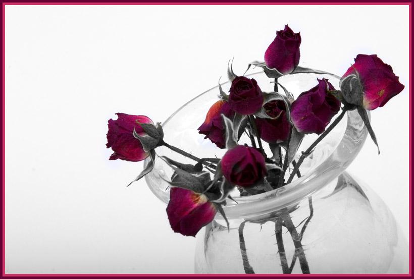 Ad:  3061578.jpg
Gsterim: 268
Boyut:  73.3 KB