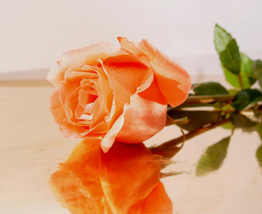 Ad:  6006054.jpg
Gsterim: 371
Boyut:  55.9 KB