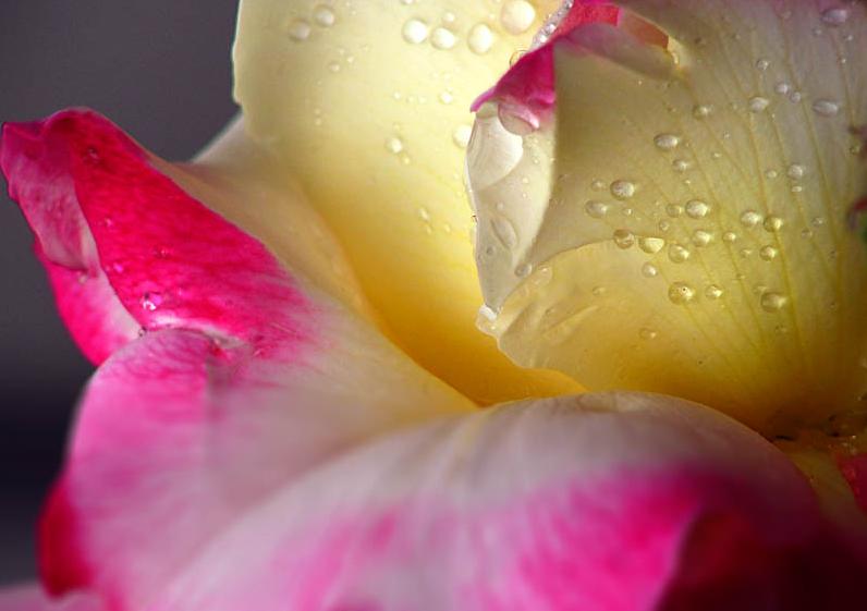 Ad:  60752063.JPG
Gsterim: 249
Boyut:  36.1 KB