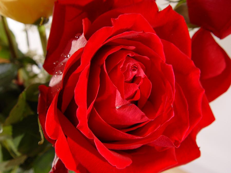 Ad:  60060546.jpg
Gsterim: 1457
Boyut:  61.9 KB