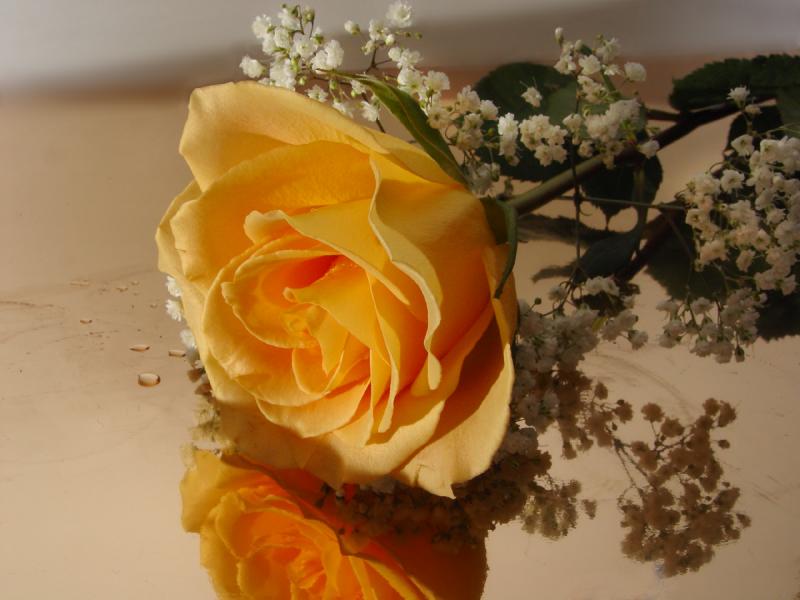 Ad:  600606301.jpg
Gsterim: 227
Boyut:  50.6 KB