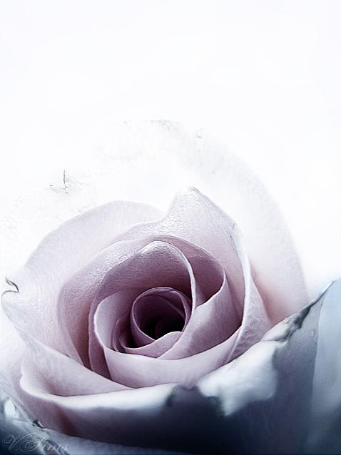 Ad:  Pale_Reflection_by_TheTragicTruth_Of_Me.jpg
Gsterim: 283
Boyut:  36.0 KB