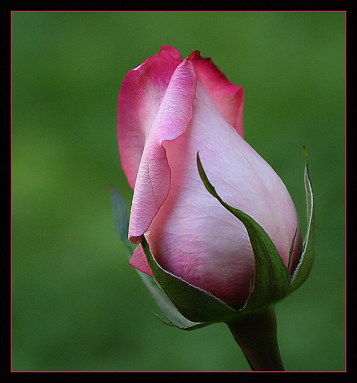 Ad:  1813493-94f41ebb0fad7ef4.jpg
Gsterim: 384
Boyut:  83.1 KB