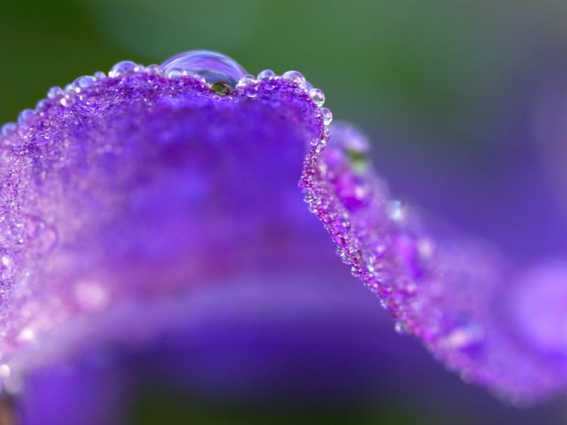 Ad:  6012235.jpg
Gsterim: 226
Boyut:  32.4 KB