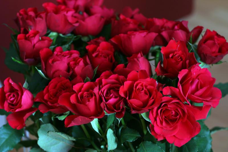 Ad:  61527430.JPG
Gsterim: 322
Boyut:  52.6 KB