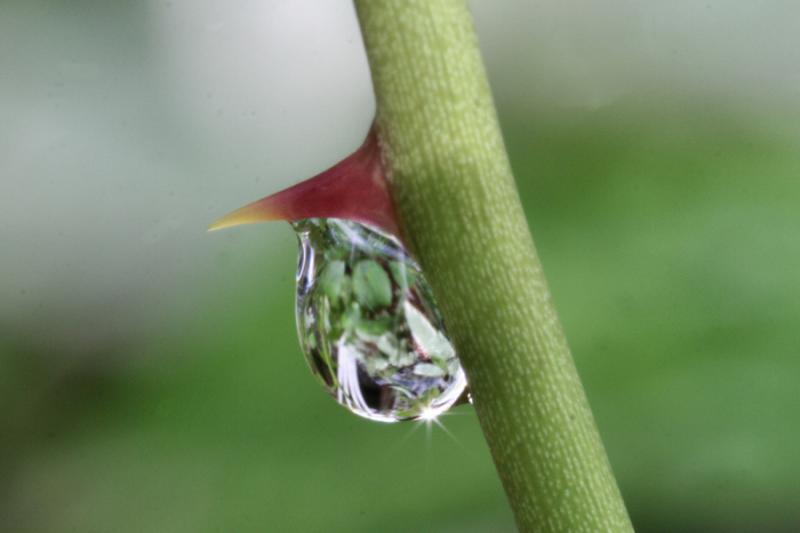 Ad:  6023336.jpg
Gsterim: 356
Boyut:  26.0 KB