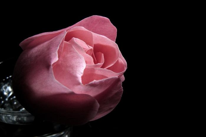 Ad:  Just_Pink_II_by_cesalv.jpg
Gsterim: 378
Boyut:  20.5 KB