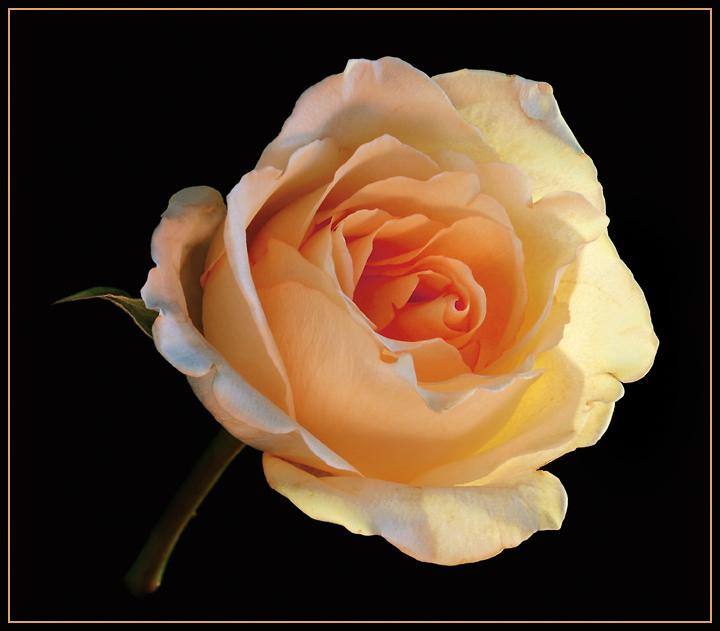 Ad:  10860619.JPG
Gsterim: 363
Boyut:  41.8 KB