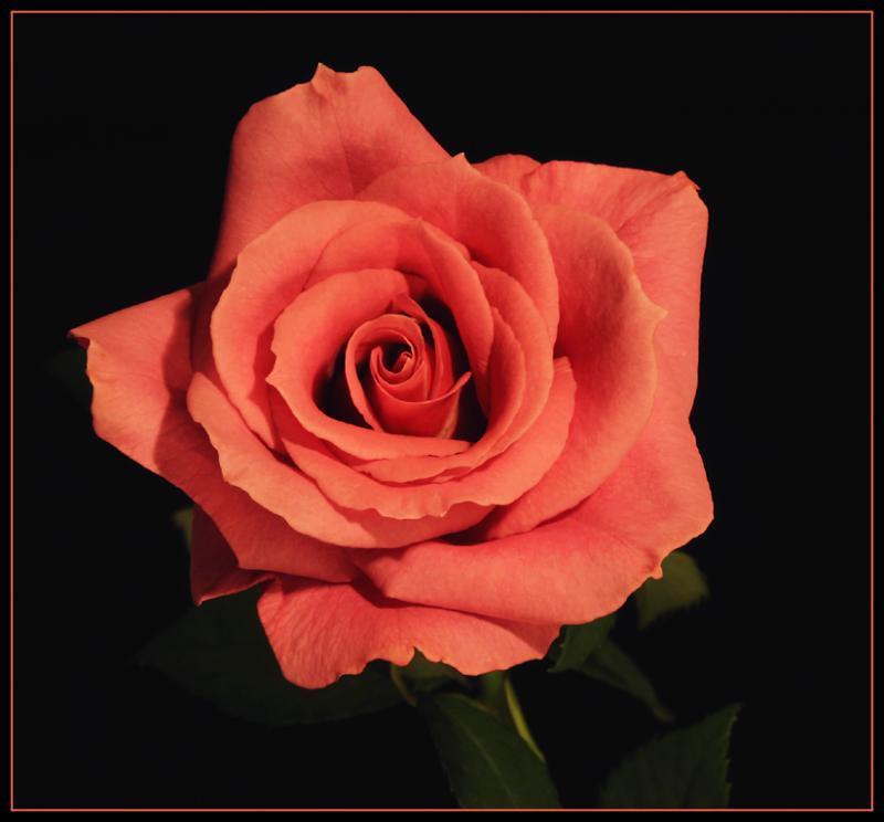 Ad:  11515008.JPG
Gsterim: 500
Boyut:  48.2 KB