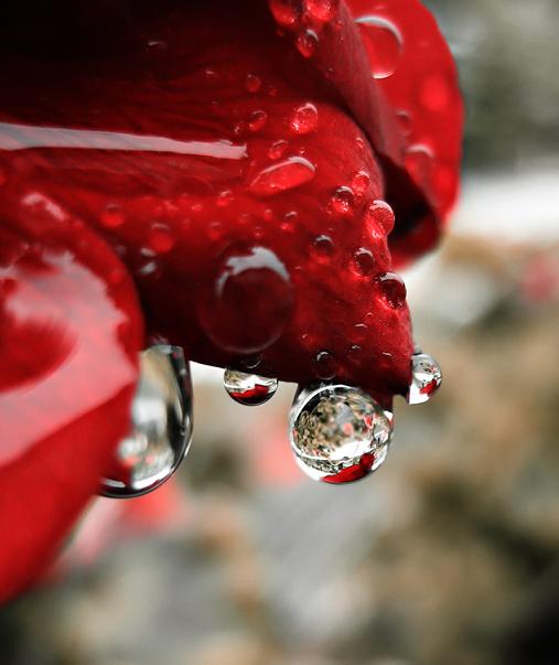 Ad:  cyristalballs.JPG
Gsterim: 274
Boyut:  31.0 KB