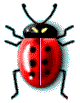 Ad:  ladybug.gif
Gsterim: 7487
Boyut:  2.2 KB