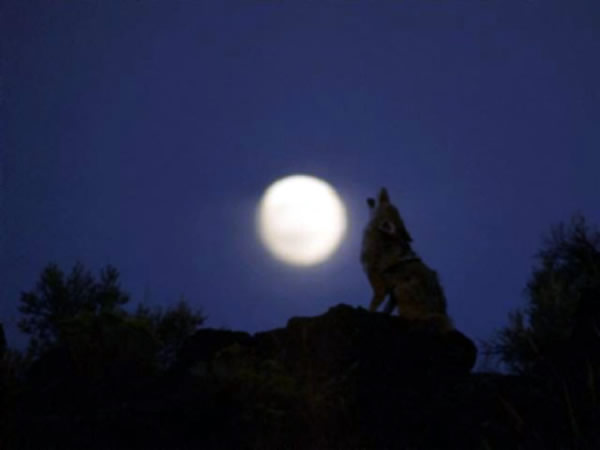 Ad:  00041.jpg
Gsterim: 2514
Boyut:  14.1 KB