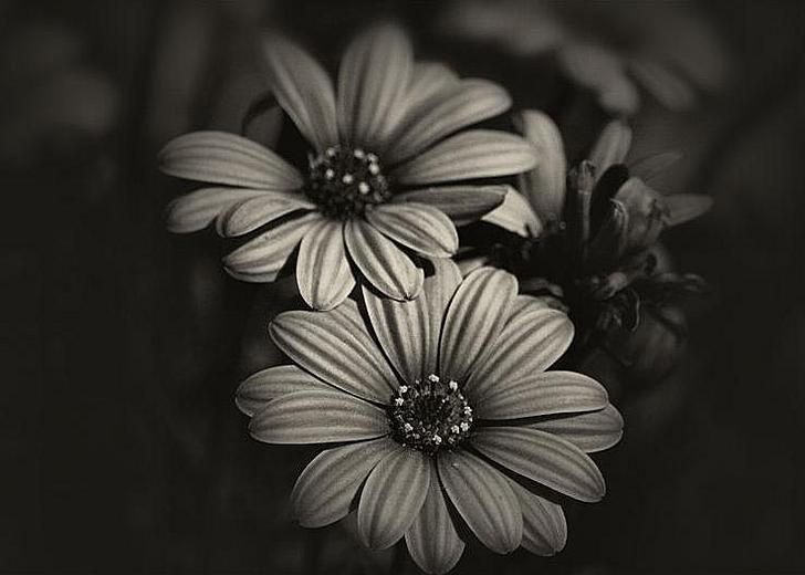 Ad:  The_Touch_by_pahness.jpg
Gsterim: 296
Boyut:  37.1 KB