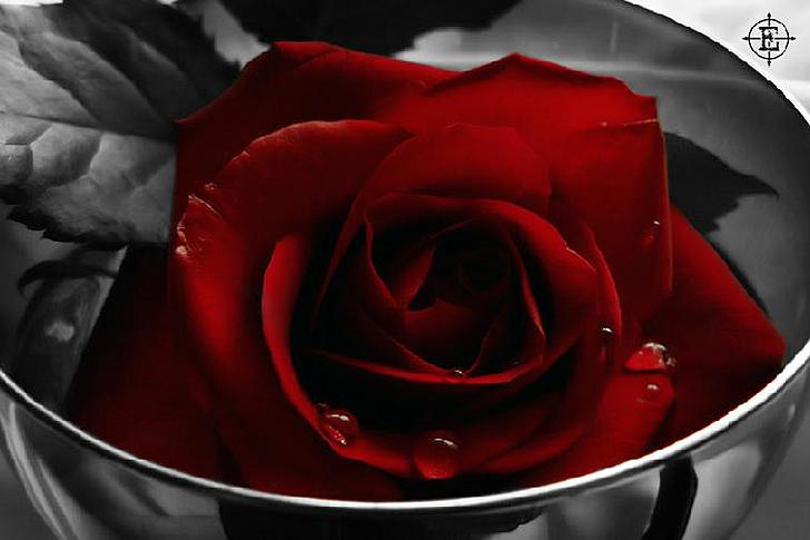 Ad:  Tears____by_endrju100.jpg
Gsterim: 347
Boyut:  32.5 KB