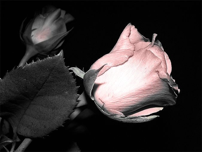 Ad:  5838061.jpg
Gsterim: 337
Boyut:  210.5 KB