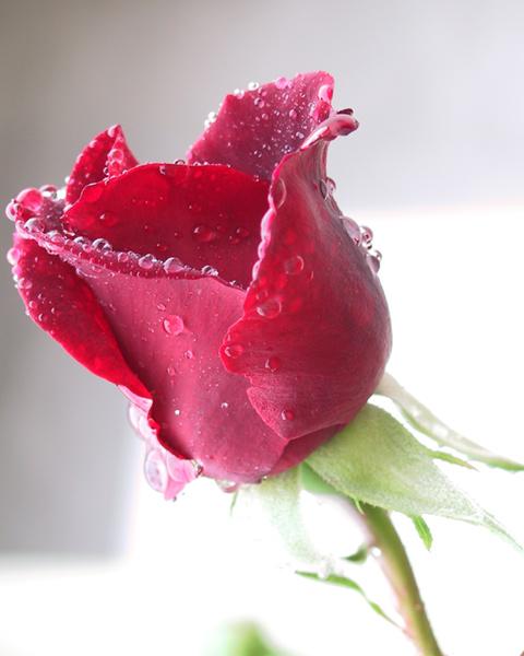 Ad:  20548937.JPG
Gsterim: 401
Boyut:  27.0 KB