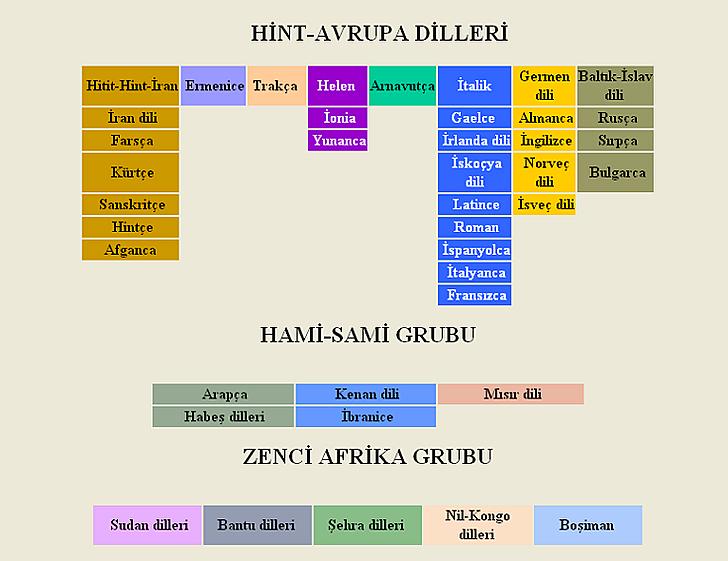 Ad: dil.jpg
Gösterim: 3312
Boyut: 48.3 KB Ad: dil.jpg
Gösterim: 3312
Boyut: 48.3 KB