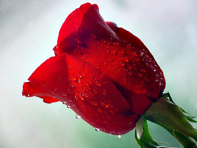 Ad:  2790652.jpg
Gsterim: 353
Boyut:  94.3 KB