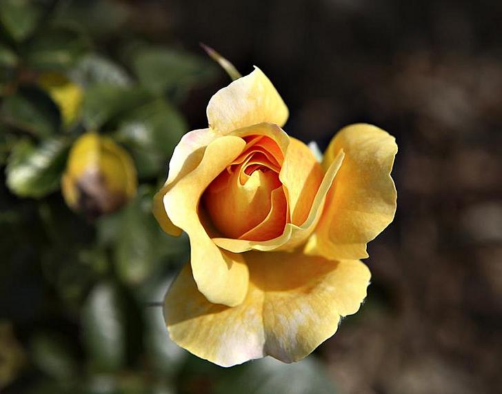 Ad:  50290769-.jpg
Gsterim: 286
Boyut:  37.0 KB