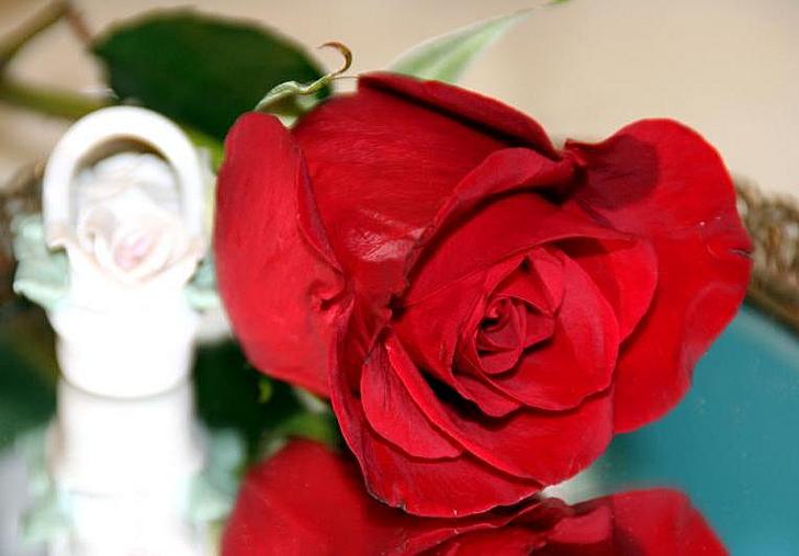 Ad:  4592622.jpg
Gsterim: 315
Boyut:  35.6 KB